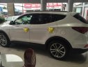 Hyundai Santa Fe 4WD 2016 - Santa Fe Full 4WD tặng 100% thuế trước bạ, xe mới 100% giá cũ