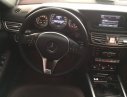 Mercedes-Benz E250 2014 - Cần bán gấp Mercedes đời 2014, màu đen, nhập khẩu nguyên chiếc chính chủ