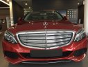Mercedes-Benz C250 E 2017 - Bán xe Mercedes E 2017, màu đỏ, nhập khẩu chính hãng