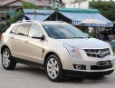 Cadillac SRX 4 2009 - Bán ô tô Cadillac SRX 4 đời 2009, màu bạc, nhập khẩu nguyên chiếc