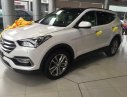 Hyundai Santa Fe 4WD 2016 - Santa Fe Full 4WD tặng 100% thuế trước bạ, xe mới 100% giá cũ