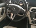 Mercedes-Benz C200   2.0 AT  2011 - Cần bán Mercedes 2.0 AT đời 2011, 850 triệu