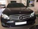 Mercedes-Benz E250 2014 - Cần bán gấp Mercedes đời 2014, màu đen, nhập khẩu nguyên chiếc chính chủ