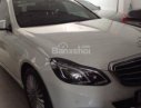 Mercedes-Benz E200 2013 - Bán xe Mercedes đời 2013, màu trắng, nhập khẩu chính hãng
