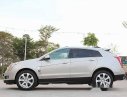 Cadillac SRX 4 2009 - Bán ô tô Cadillac SRX 4 đời 2009, màu bạc, nhập khẩu nguyên chiếc