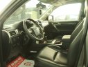 Lexus GX460 4.6 2009 - Bán Lexus GX460 sx 2009, đăng ký 2010. Lexus GX460 sử dụng động cơ V8, 4.6L