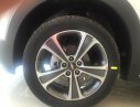 Chevrolet Captiva LTZ 2017 - Bán Chevrolet Captiva LTZ đời 2017, màu trắng