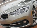 BMW 3 Series 330i 2017 - BMW 330i 2017 - Ưu đãi cực lớn, có xe giao ngay