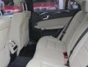 Mercedes-Benz E250  CGI 2010 - Bán Mercedes E250 CGI đời 2010, màu xám, xe nhập