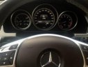 Mercedes-Benz E200 2016 - Bán xe cũ Mercedes E200 Edition E đời 2016, màu đen, xe nhập