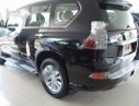 Lexus GX460  AT 2016 - Cần bán xe Lexus GX460 AT sản xuất 2016, mới 100%