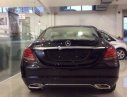 Mercedes-Benz C250   Exclusive 2016 - Bán xe Mercedes C250 Exclusive 2016, mới 100%