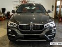 BMW X6 xDrive35i 2017 - Bán BMW X6 xDrive35i năm 2017, màu xám, nhập khẩu nguyên chiếc