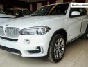 BMW X5 xDrive35i 2017 - Bán xe BMW X5 xDrive35i đời 2017, màu trắng, xe nhập, có xe giao sớm nhất, giá rẻ nhất toàn quốc