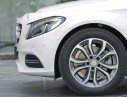 Mercedes-Benz C200   2017 - Bán Mercedes Benz C200 2017, mới 100%