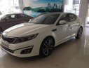 Kia Optima  AT 2015 - Bán xe Kia Optima AT đời 2015, giá 930tr