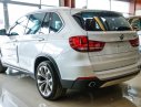 BMW X5 xDrive35i 2017 - Bán xe BMW X5 xDrive35i đời 2017, màu trắng, xe nhập, có xe giao sớm nhất, giá rẻ nhất toàn quốc