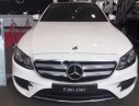 Mercedes-Benz E300 2017 - Cần bán Mercedes đời 2017, màu trắng