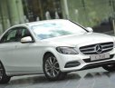 Mercedes-Benz C200   2017 - Bán Mercedes Benz C200 2017, mới 100%