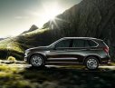 BMW X5 xDrive35i 2017 - Bán xe BMW X5 xDrive35i đời 2017, màu nâu, nhập khẩu