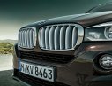 BMW X5 xDrive35i 2017 - Bán xe BMW X5 xDrive35i đời 2017, màu nâu, nhập khẩu