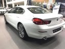 BMW 6 Series 640GC 2017 - BMW 640i 2017 - Giá bán: 3 tỷ 668tr