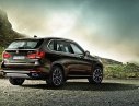 BMW X5 xDrive35i 2017 - Bán xe BMW X5 xDrive35i đời 2017, màu nâu, nhập khẩu