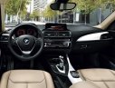 BMW 1 Series 118i 2017 - Bán ô tô BMW 1 Series 118i đời 2017, màu đỏ, nhập khẩu chính hãng