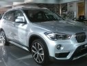 BMW X1 sDrive18i 2017 - Bán ô tô BMW X1 sDrive18i đời 2017, màu bạc, xe nhập, giảm giá trực tiếp, có xe giao ngay