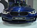 BMW 3 Series 320i 2017 - Bán BMW 320i 2017, màu xanh, nhập khẩu