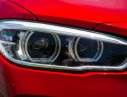 BMW 1 Series 118i 2017 - Bán BMW 118i năm 2017, màu đỏ, xe nhập