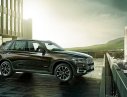 BMW X5 xDrive35i 2017 - Bán xe BMW X5 xDrive35i đời 2017, màu nâu, nhập khẩu