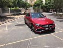 Mercedes-Benz E300   2017 - Bán xe Mercedes E300 2017 nhập khẩu nguyên chiếc từ Đức