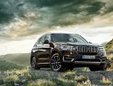 BMW X5 xDrive35i 2017 - Bán xe BMW X5 xDrive35i đời 2017, màu nâu, nhập khẩu