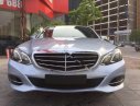 Mercedes-Benz E200 E200 2013 - Bán Mercedes E200 sản xuất 2013, model 2014