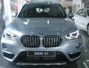 BMW X1 sDrive18i 2017 - Bán ô tô BMW X1 sDrive18i đời 2017, màu bạc, xe nhập, giảm giá trực tiếp, có xe giao ngay