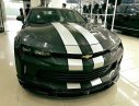 Chevrolet Camaro LT1 2017 - Bán ô tô Chevrolet Camaro LT1 năm 2017, nhập khẩu