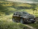 BMW X5 xDrive35i 2017 - Bán xe BMW X5 xDrive35i đời 2017, màu nâu, nhập khẩu