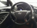 Hyundai Sonata Y20 2009 - Bán ô tô Hyundai Sonata Y20 đời 2009, màu xám, nhập khẩu nguyên chiếc chính chủ, giá tốt