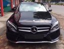 Mercedes-Benz C300 2015 - Cần bán xe Mercedes sản xuất 2015, chính chủ