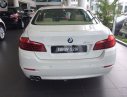 BMW 5 Series 520i 2016 - BMW Đà Nẵng bán xe BMW 5 Series 520i sản xuất 2016, màu trắng, nhập khẩu nguyên chiếc