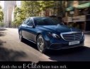 Mercedes-Benz E300  AMG 2017 - Bán xe Mercedes E300 AMG đời 2017, màu trắng