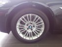 BMW 5 Series 520i 2016 - BMW Đà Nẵng bán xe BMW 5 Series 520i đời 2016, màu đen, nhập khẩu chính hãng, mới 100%