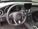 Mercedes-Benz C300  AMG 2016 - Bán Mercedes C300 AMG sản xuất 2016, màu đen chính chủ