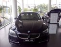 BMW 5 Series 520i 2016 - BMW Đà Nẵng bán xe BMW 5 Series 520i đời 2016, màu đen, nhập khẩu chính hãng, mới 100%