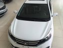 BAIC 2015 - Bán Zotye Z300 đời 2015, màu trắng, nhập khẩu nguyên chiếc