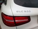 Mercedes-Benz GLC 300 2016 - Bán xe Mercedes 300 đời 2016, màu trắng chính chủ