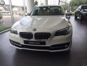 BMW 5 Series 520i 2016 - BMW Đà Nẵng bán xe BMW 5 Series 520i sản xuất 2016, màu trắng, nhập khẩu nguyên chiếc