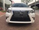 Lexus GX460   2016 - Bán Lexus GX460 sản xuất 2016, đăng ký 2016