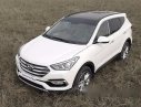 Hyundai Santa Fe 2017 - Bán xe Hyundai Santa Fe sản xuất 2017